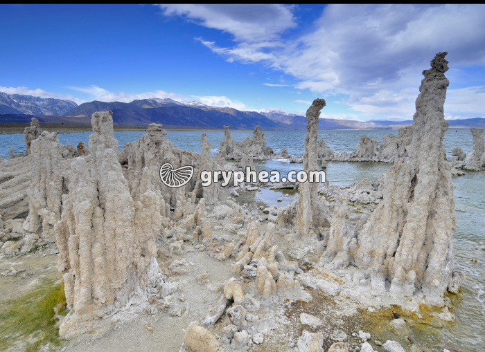 Mono Lake - gryphea.com